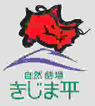 �������S